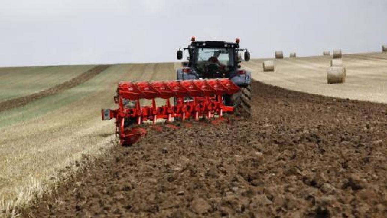 Фото до новини