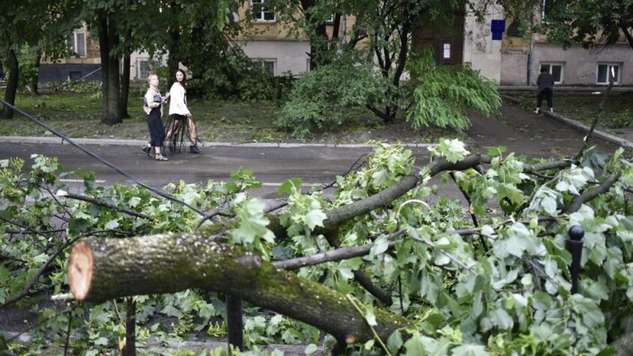 Фото до новини