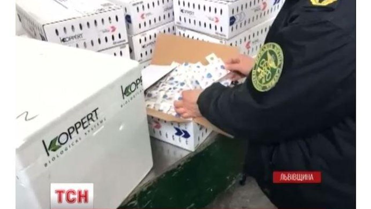 Фото до новини