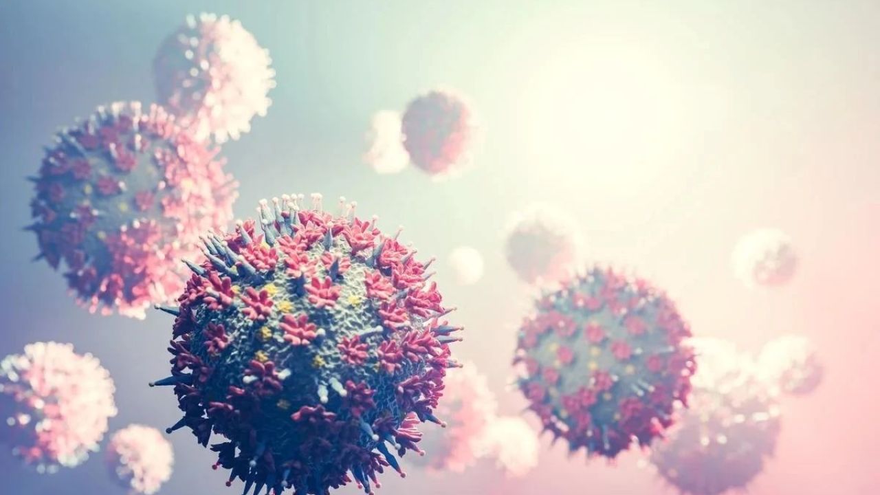 Фото до новини