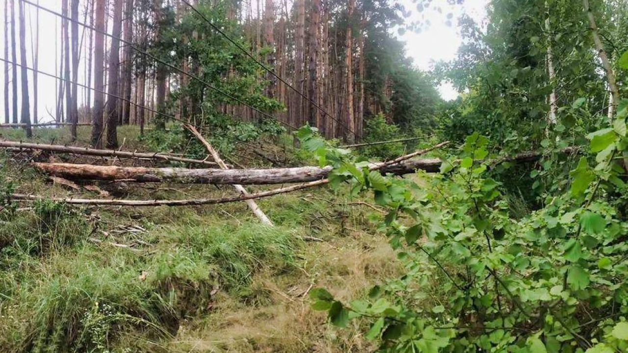 Наслідки грози з дощем на Київщині.