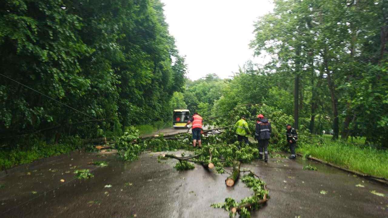 Фото до новини