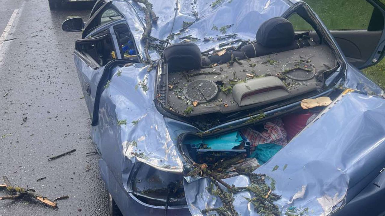 Фото до новини