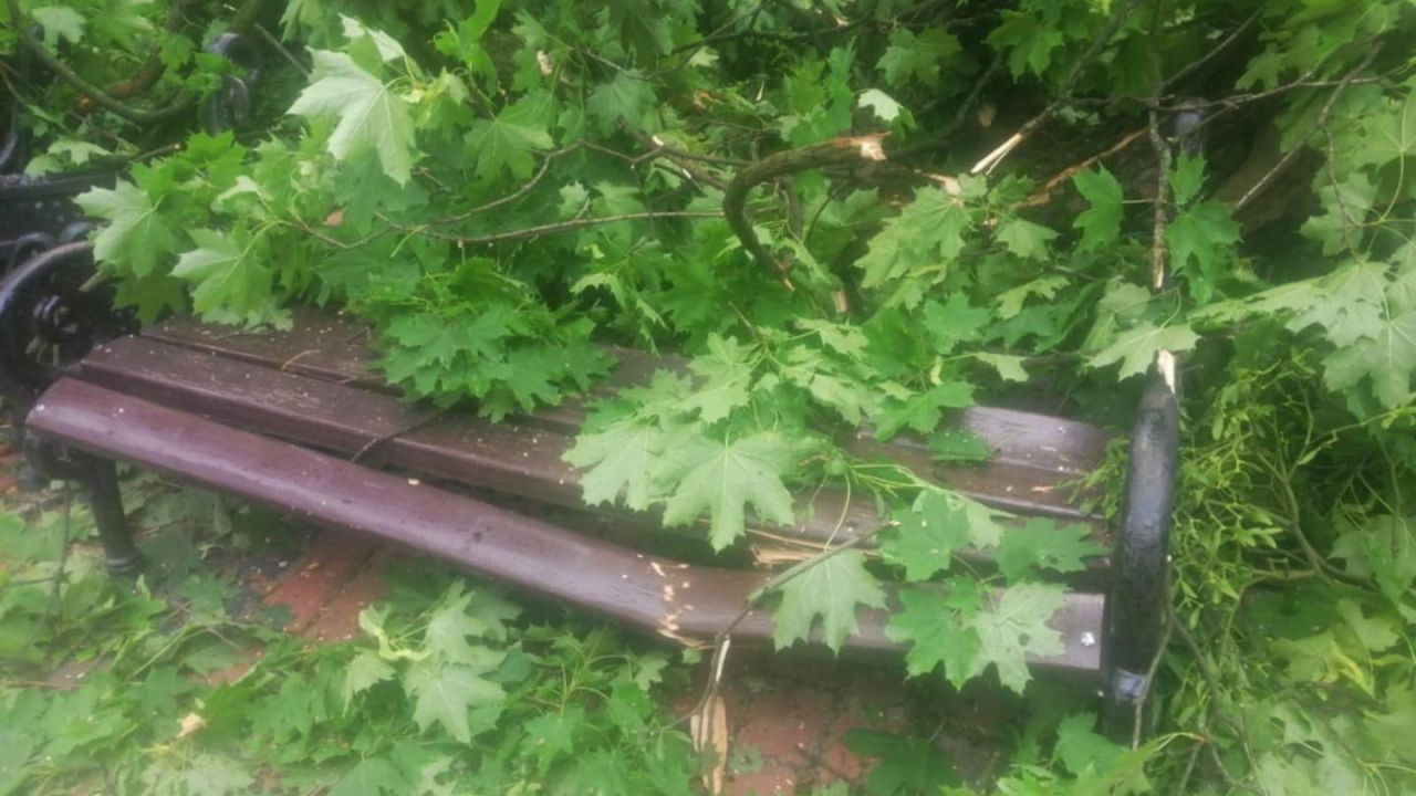 Фото до новини