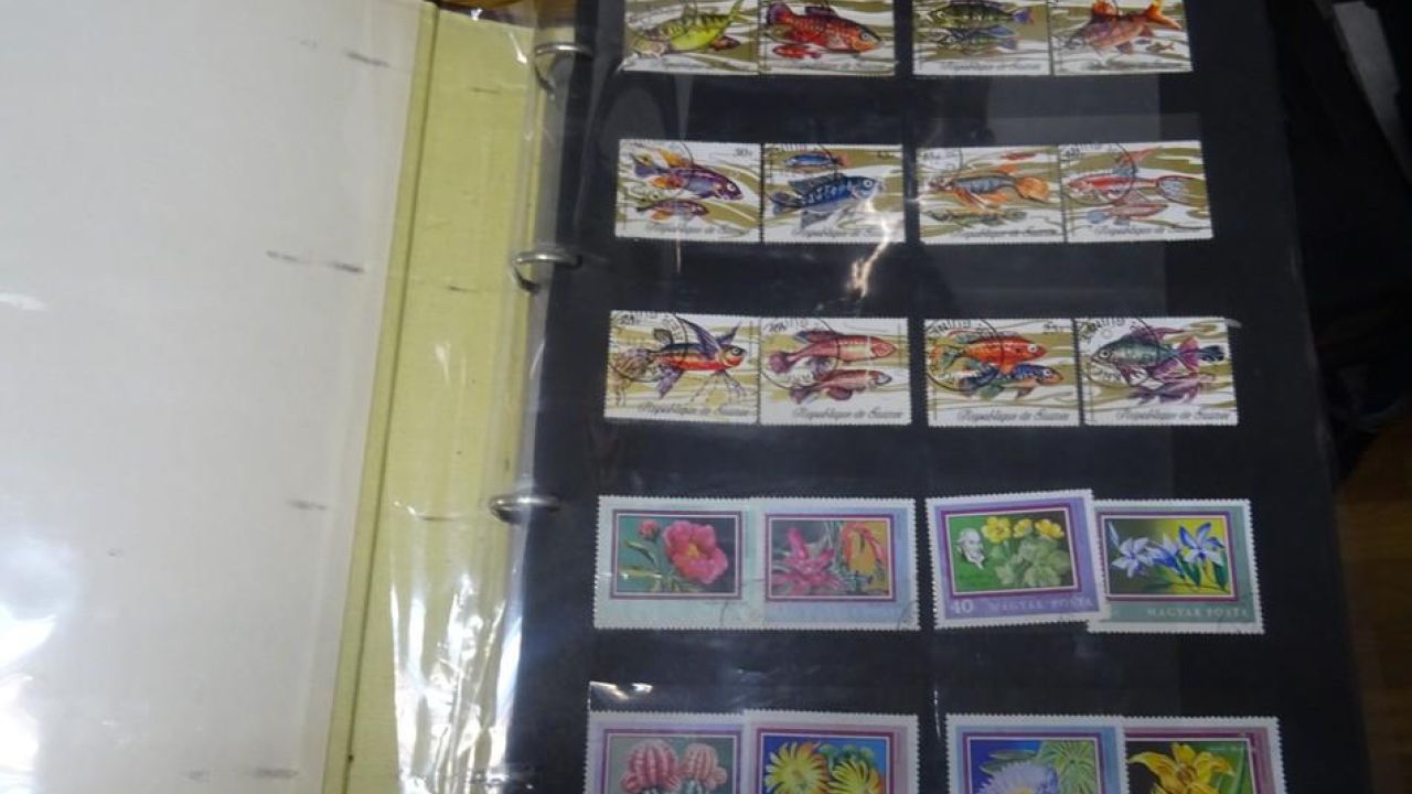 Фото до новини