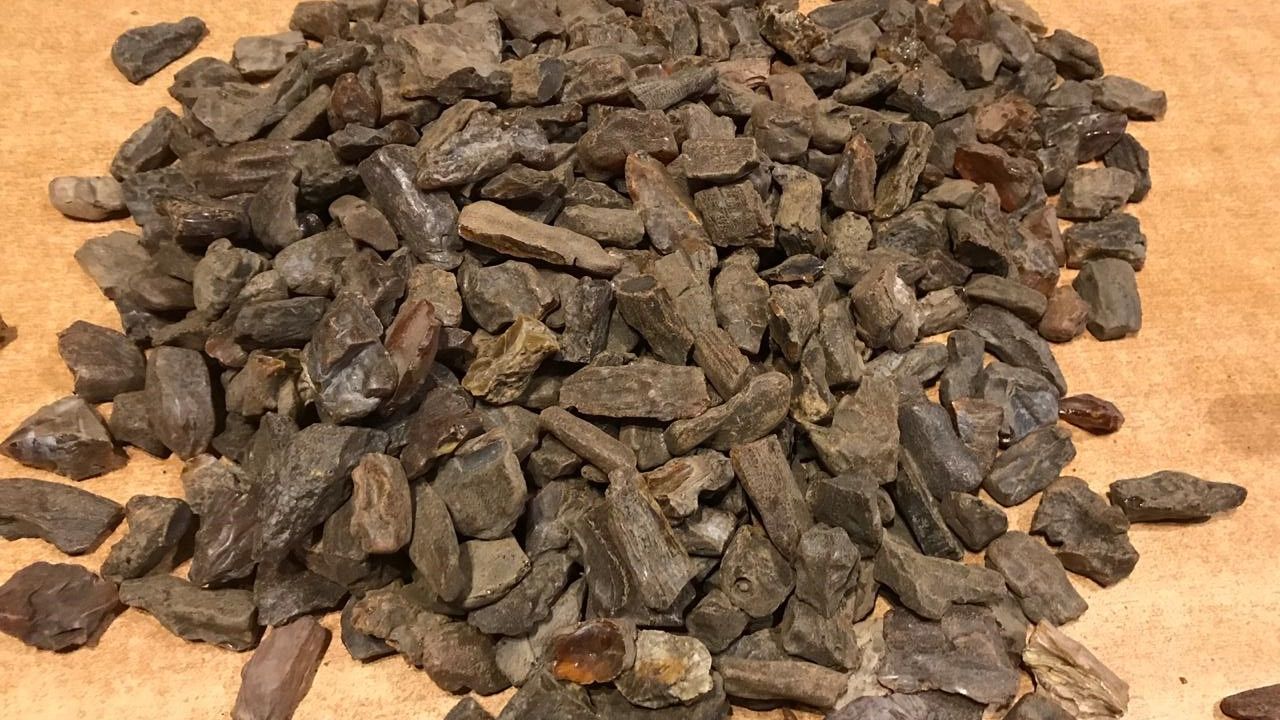 Фото до новини