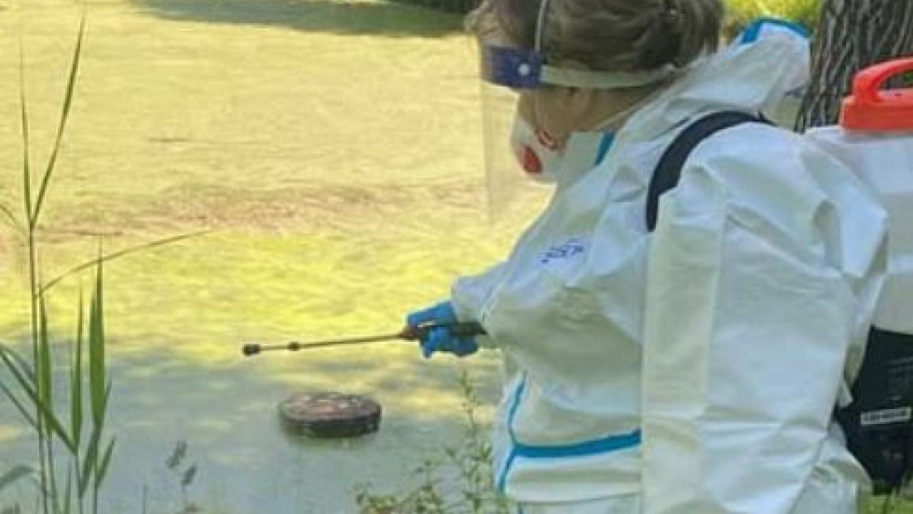 Фото до новини