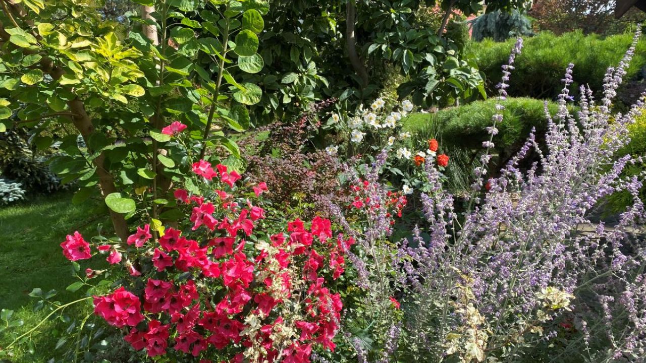 Фото до новини