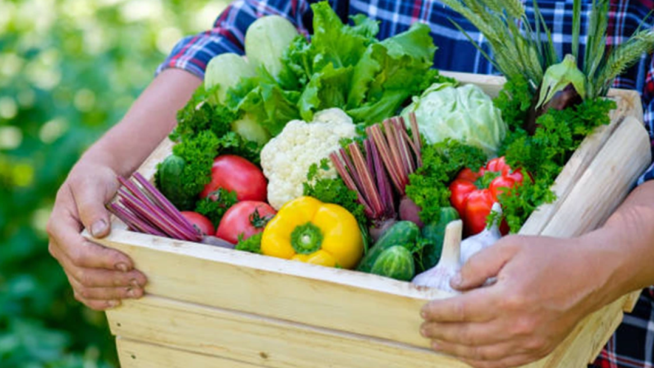 Фото до новини