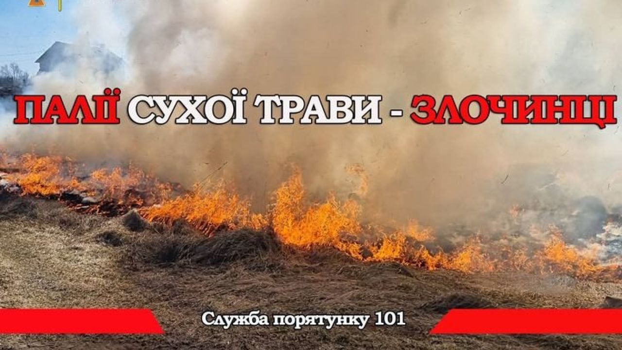 Фото до новини