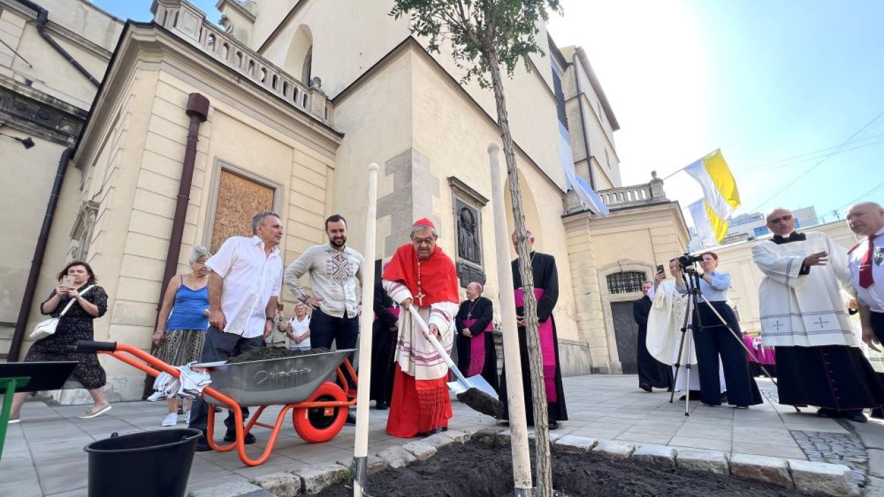 Фото до новини