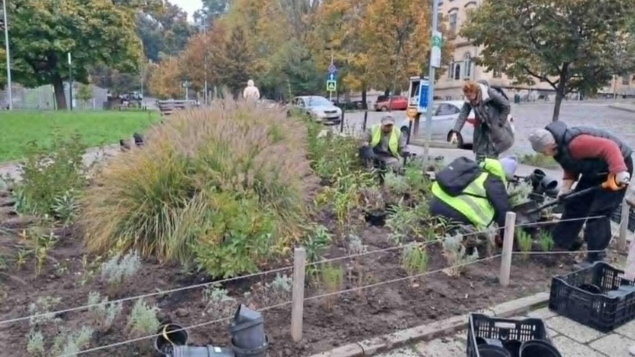 Фото до новини