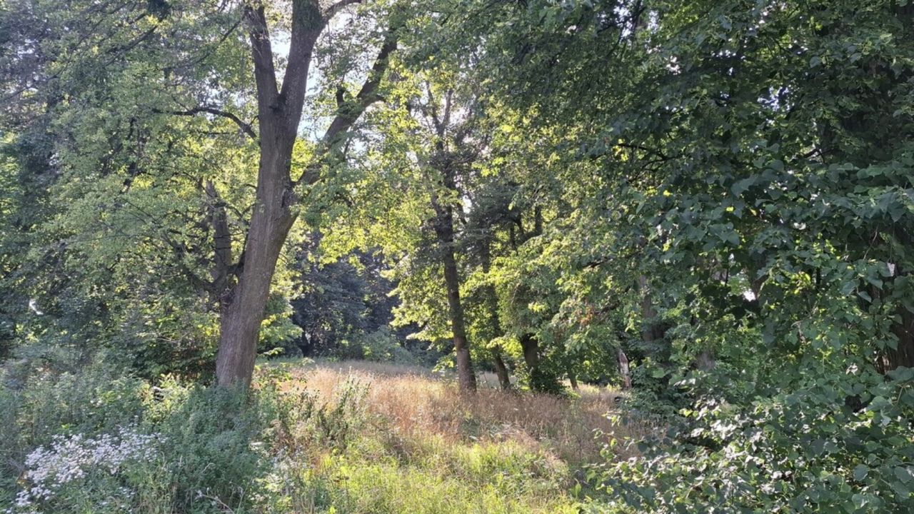 Фото до новини