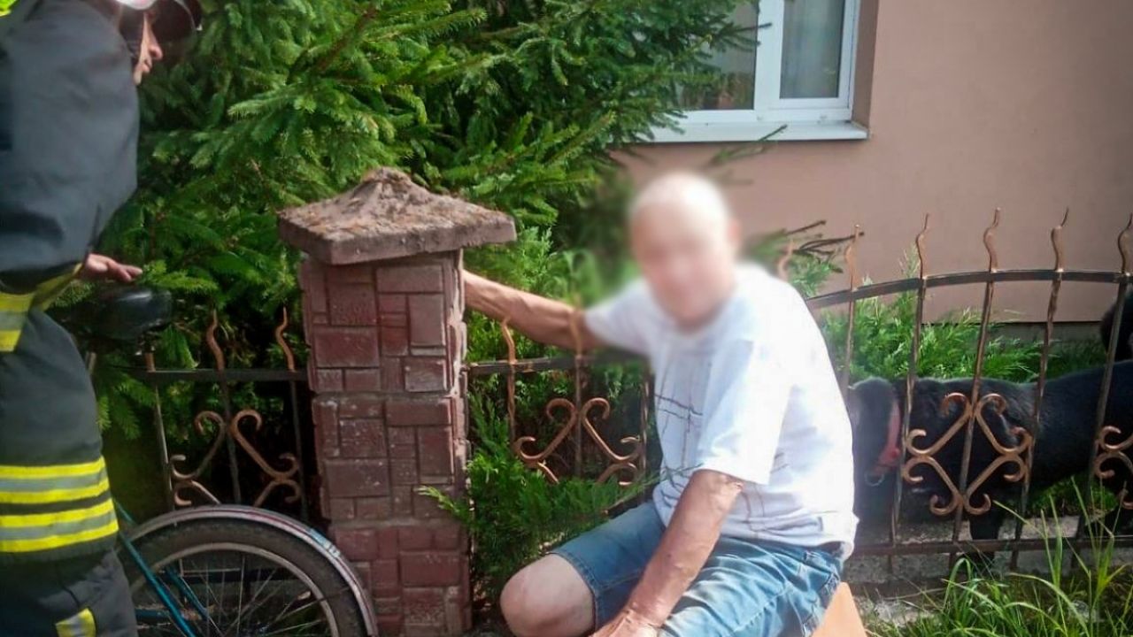 Фото до новини