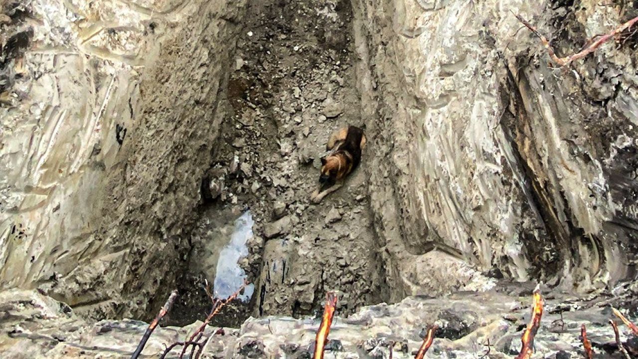 Фото до новини