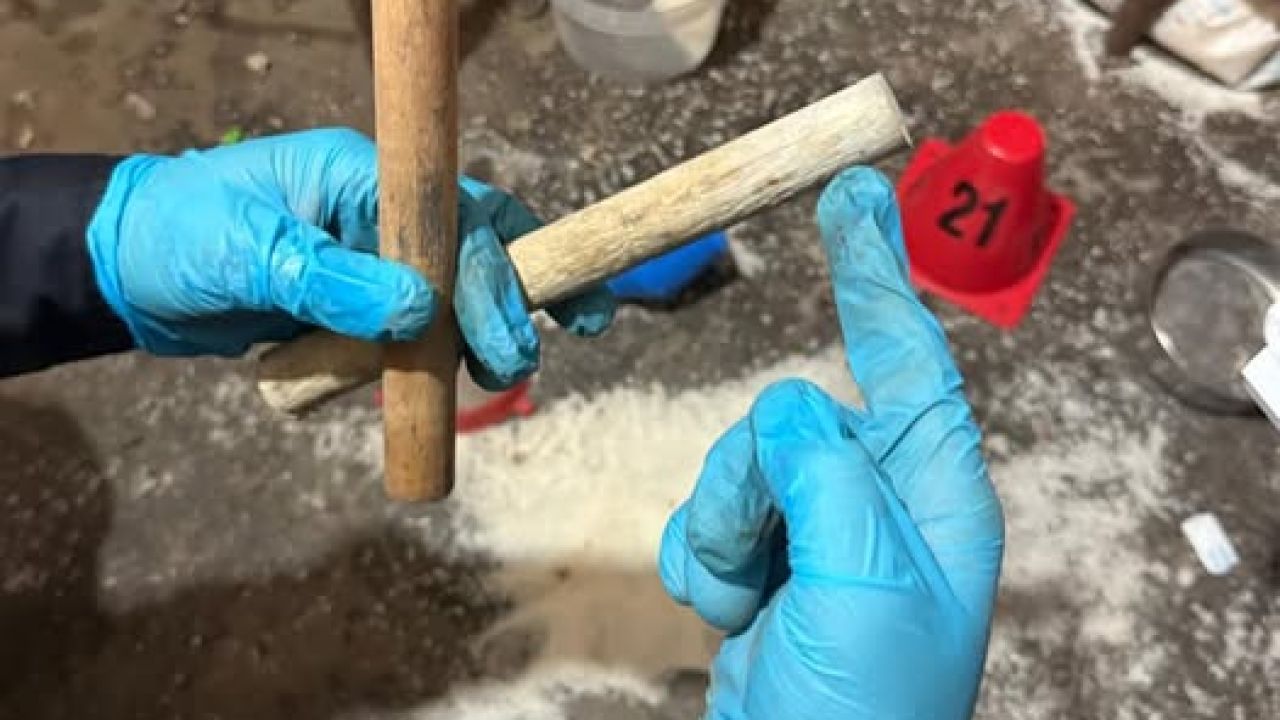 Фото до новини