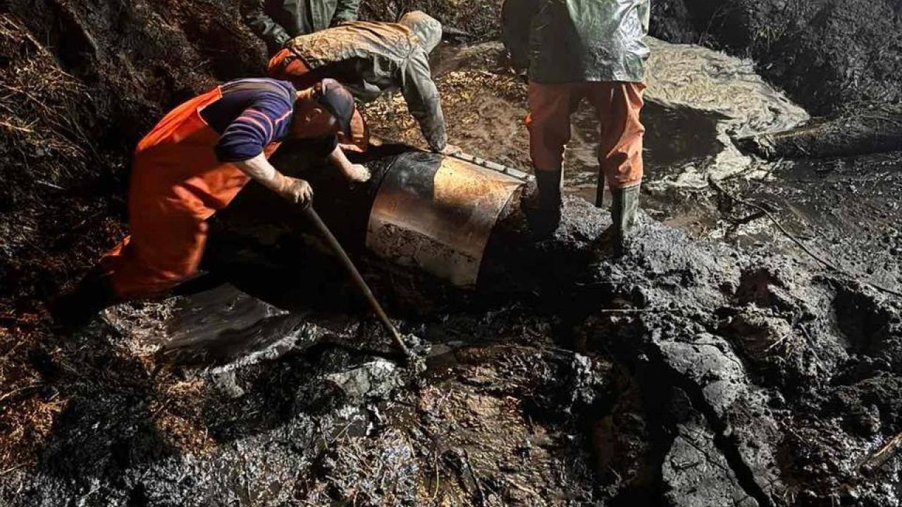 Фото до новини