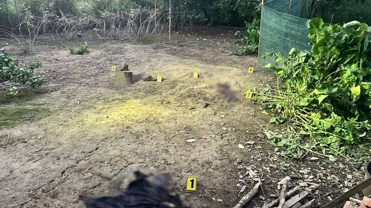 Фото до новини