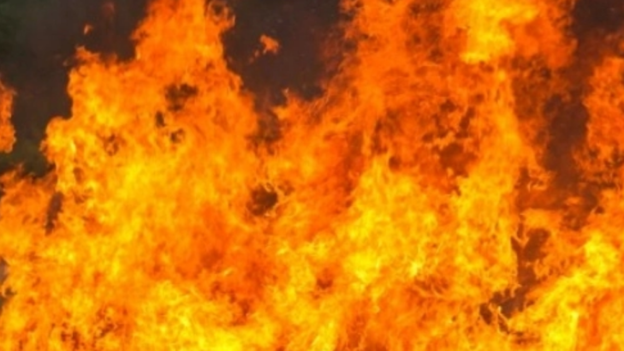 Фото до новини