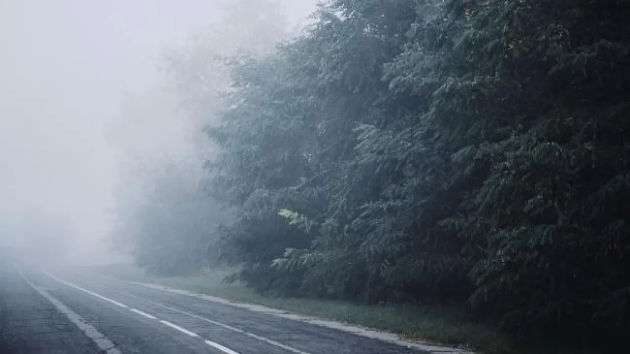 Фото до новини