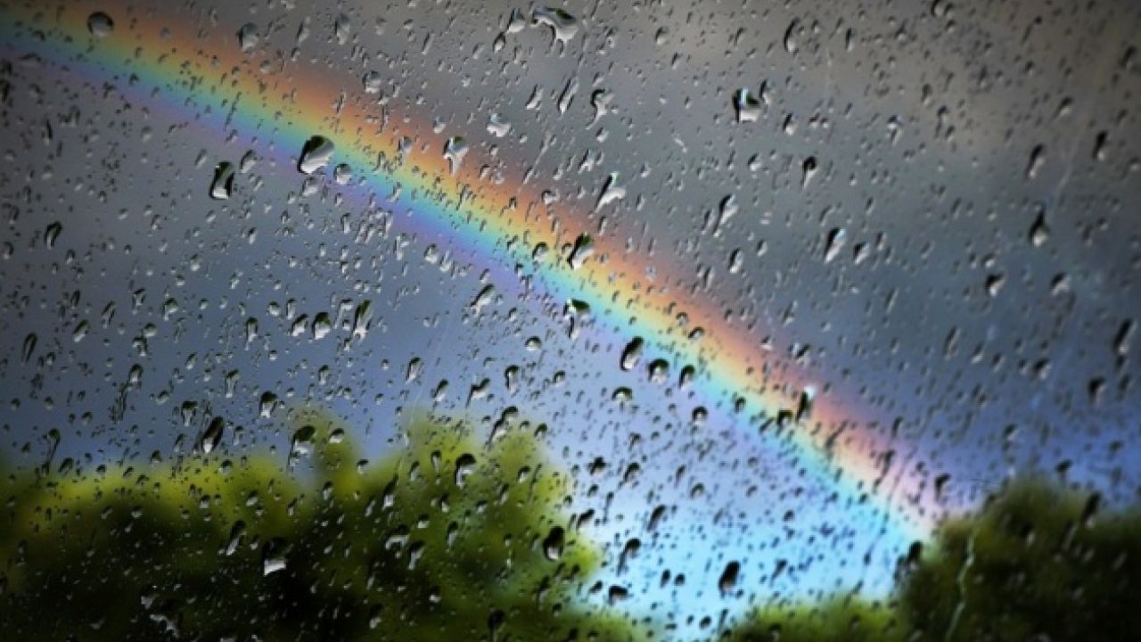 Фото до новини