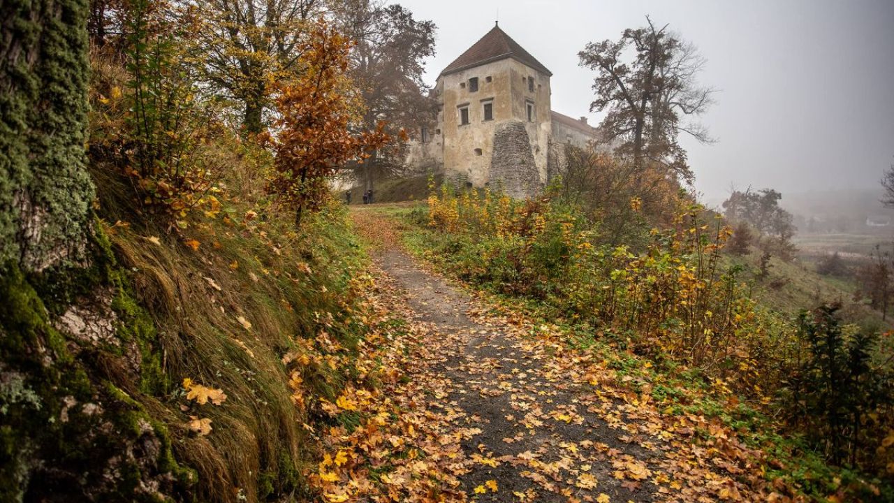 Фото до новини