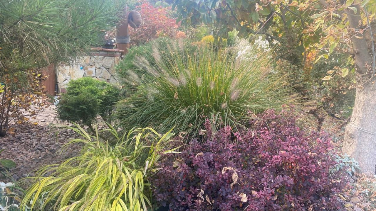 Фото до новини