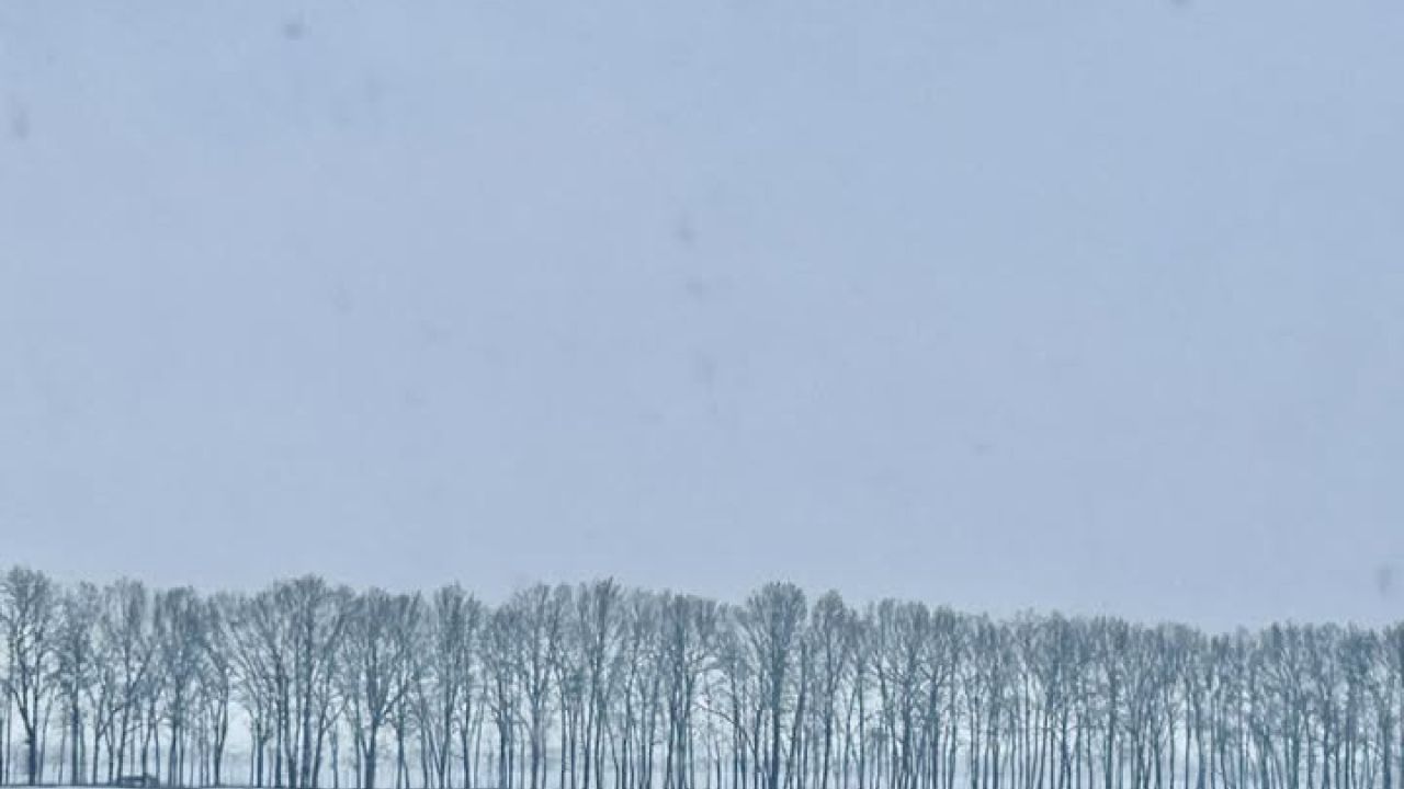 Фото до новини