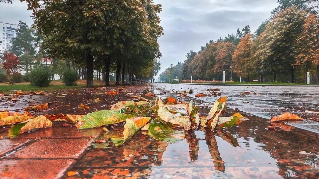 Фото до новини