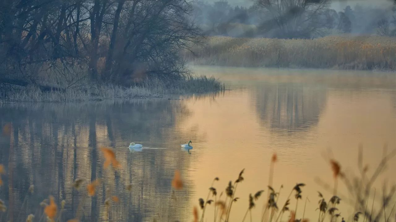 Фото до новини