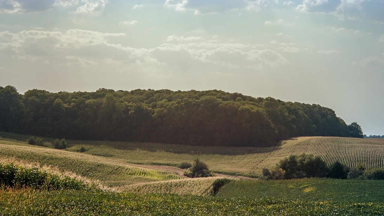 Фото до новини