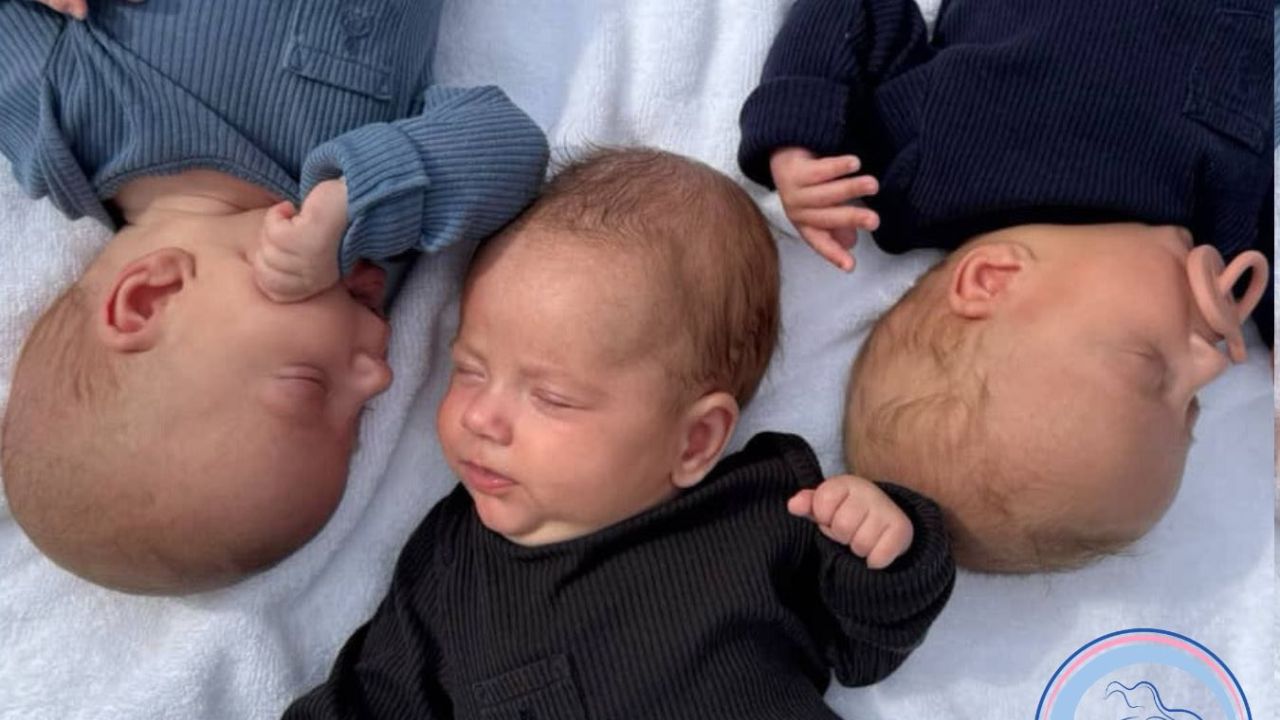 Фото до новини