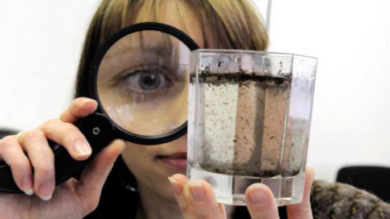 Фото умовне