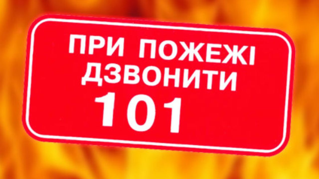 Фото до новини