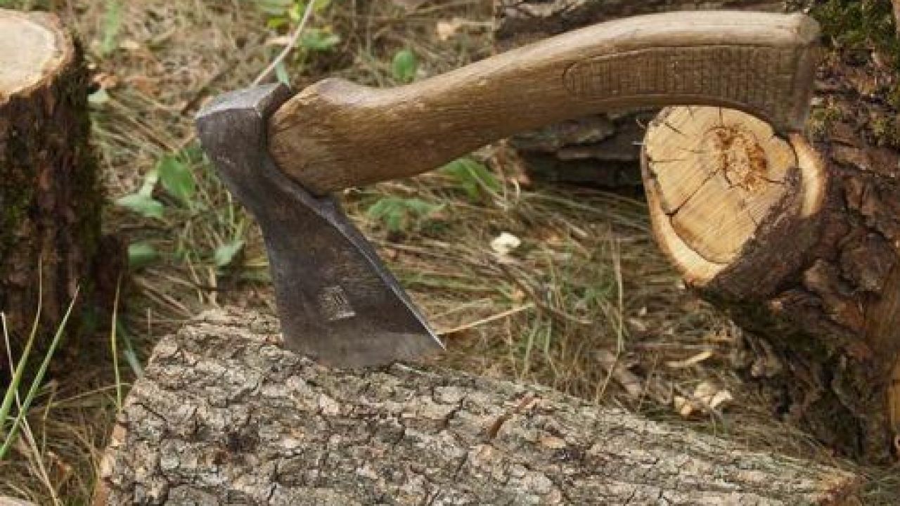 Фото до новини