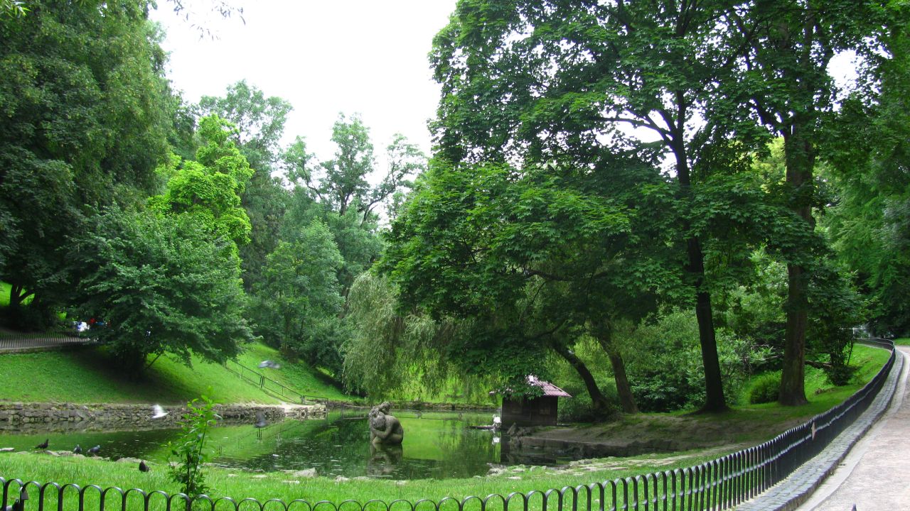 Фото до новини