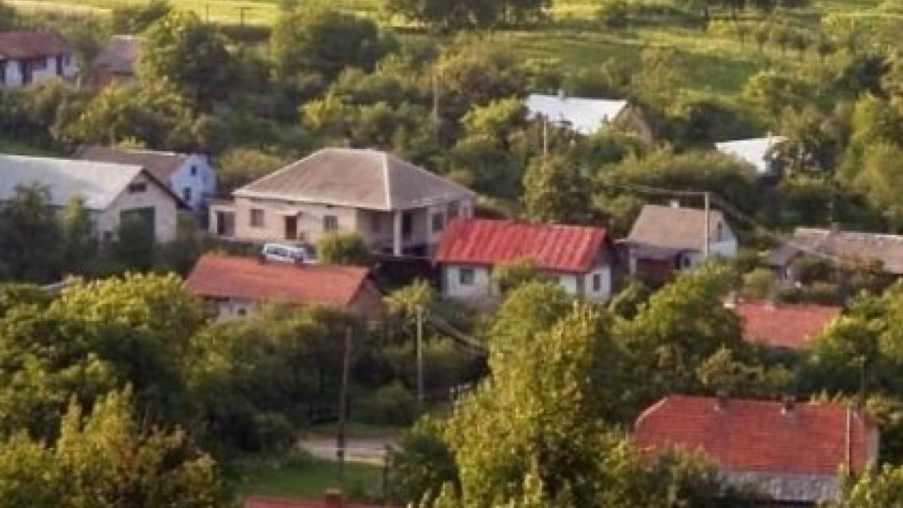 Фото до новини