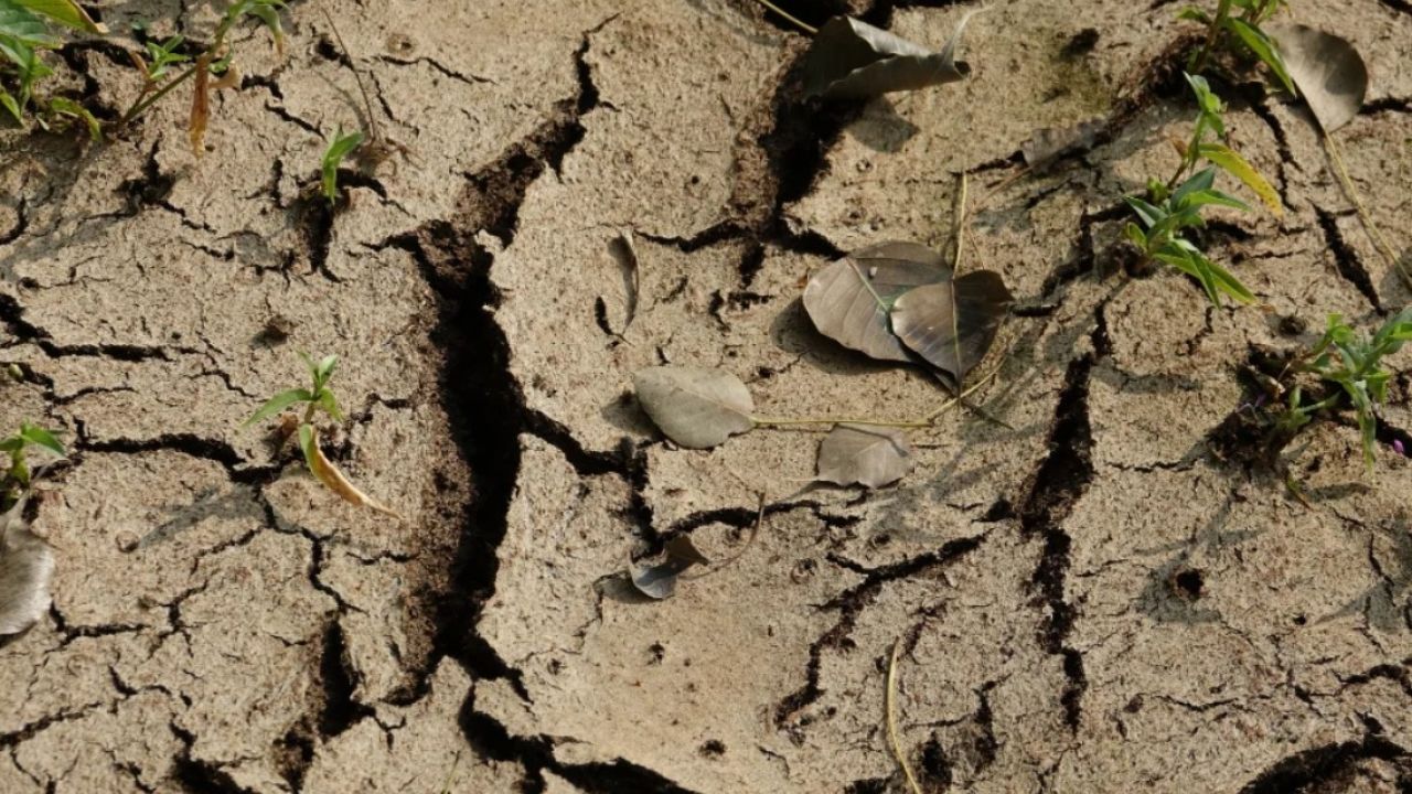 Фото до новини