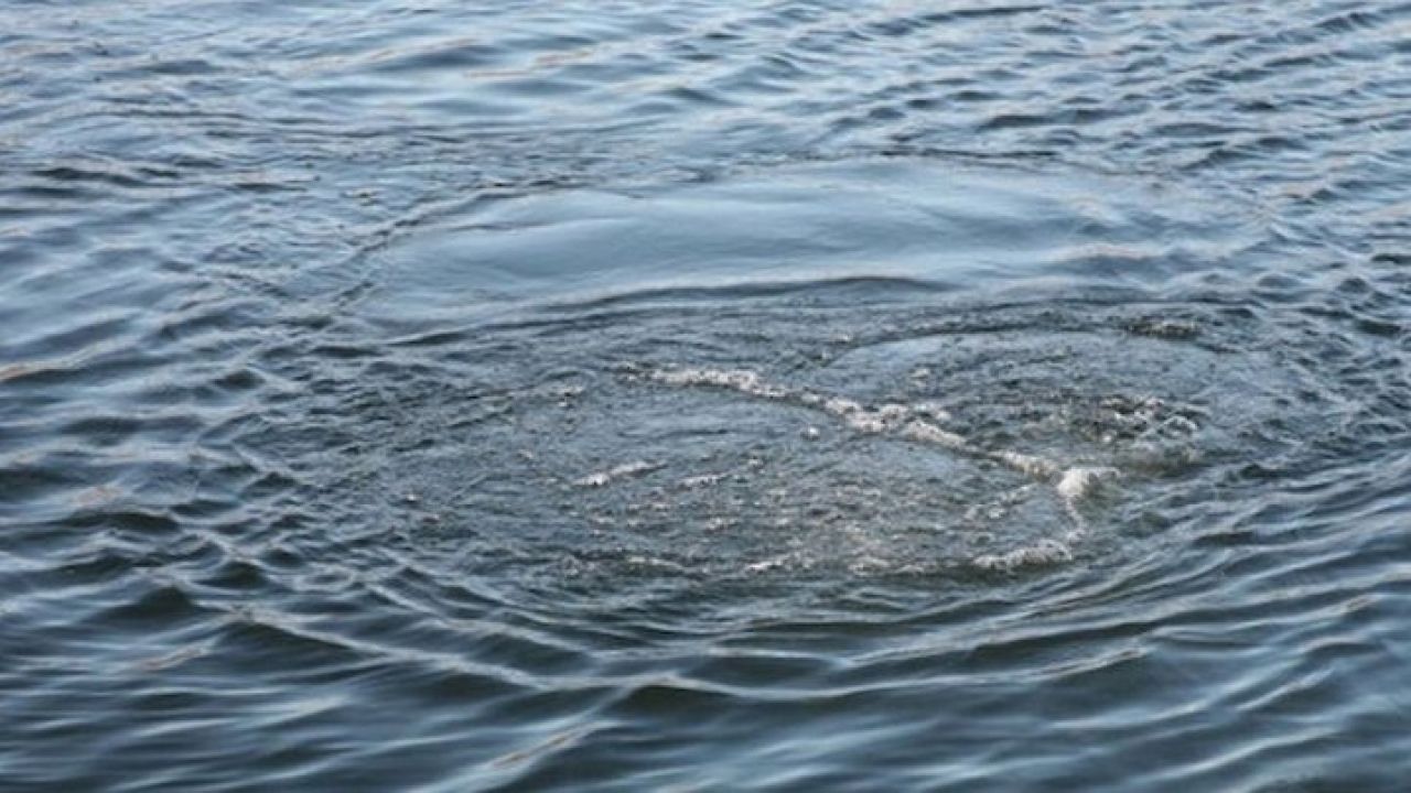 Фото до новини