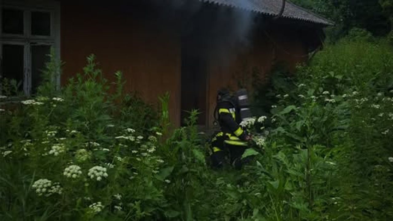 Фото до новини