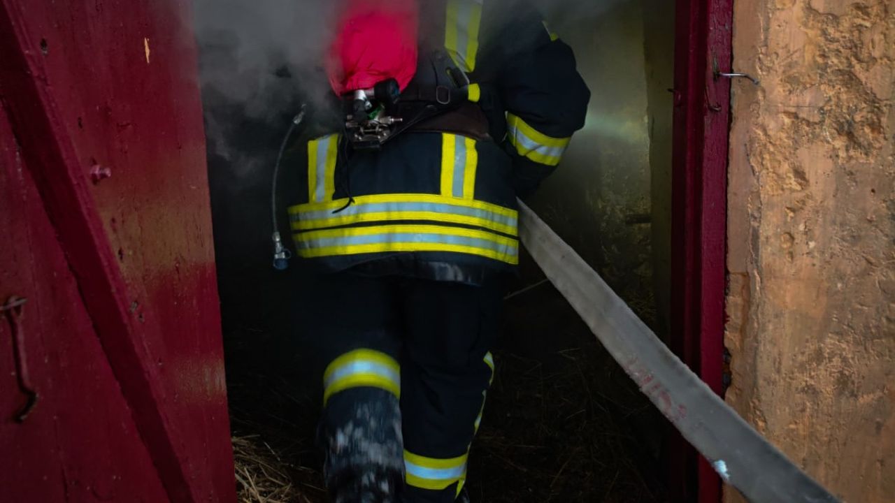 Фото до новини