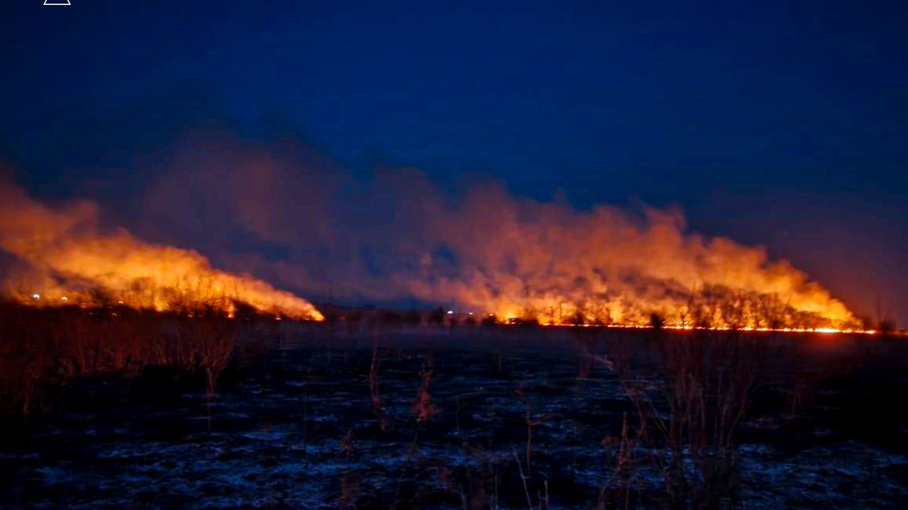 Фото до новини