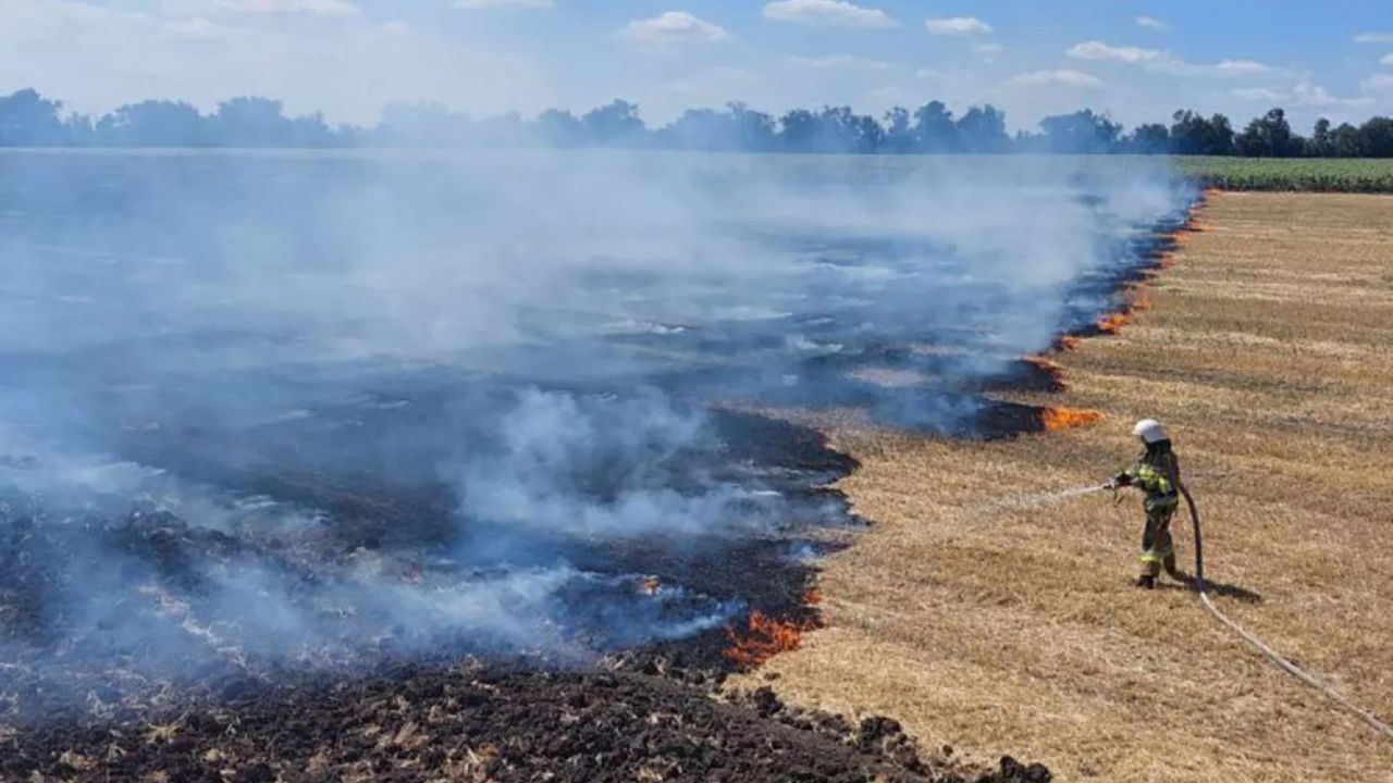 Фото до новини