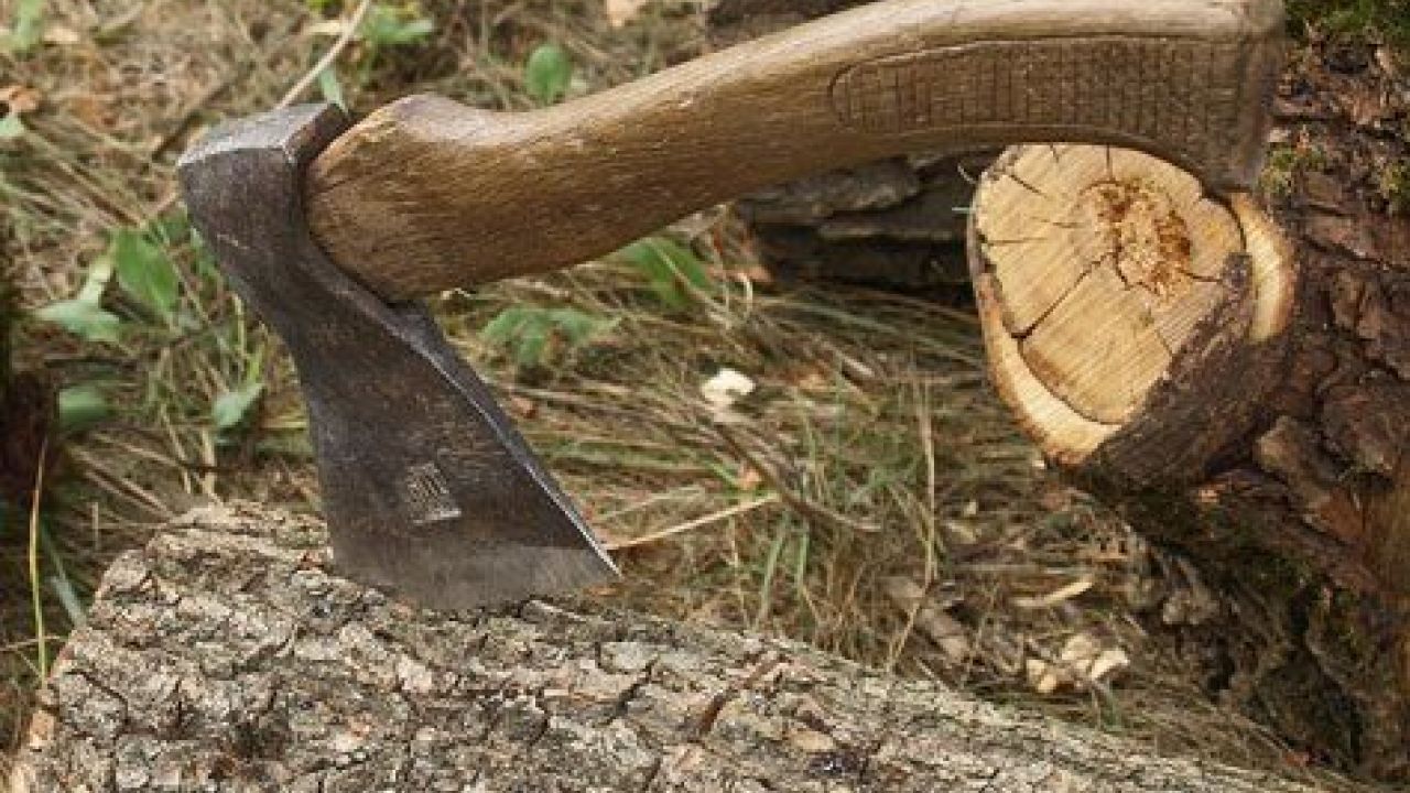 Фото до новини