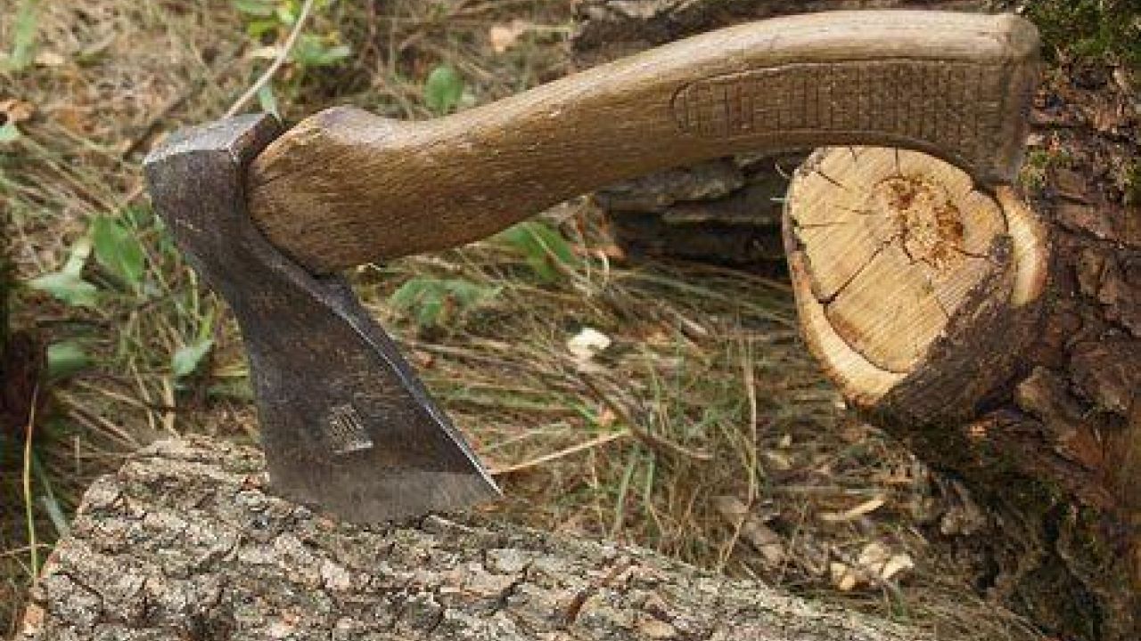 Фото до новини