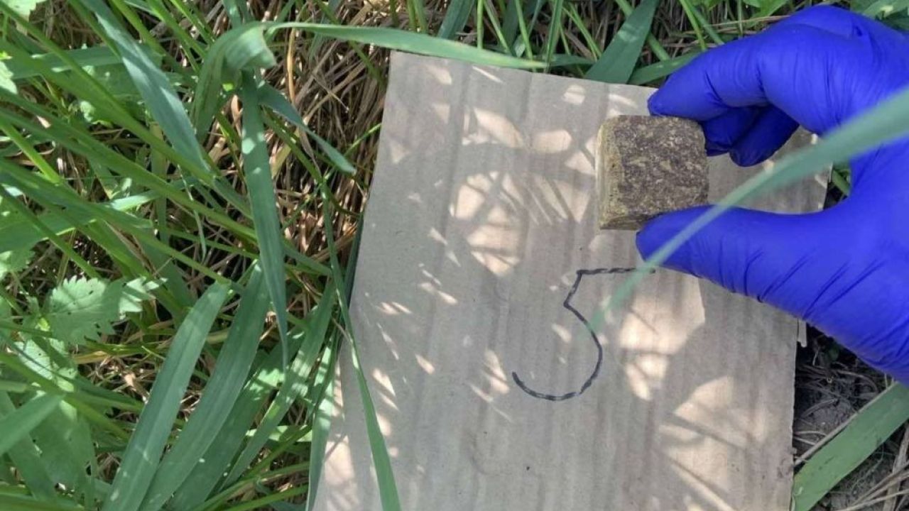 Фото до новини