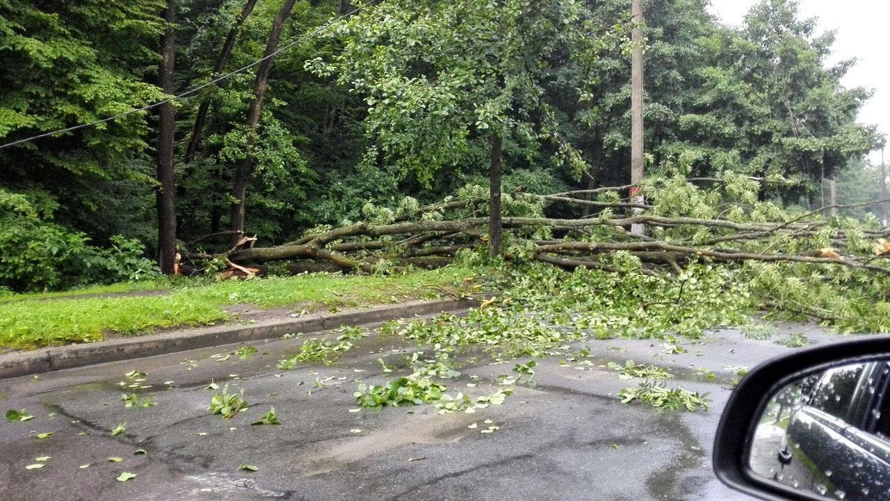 Фото до новини