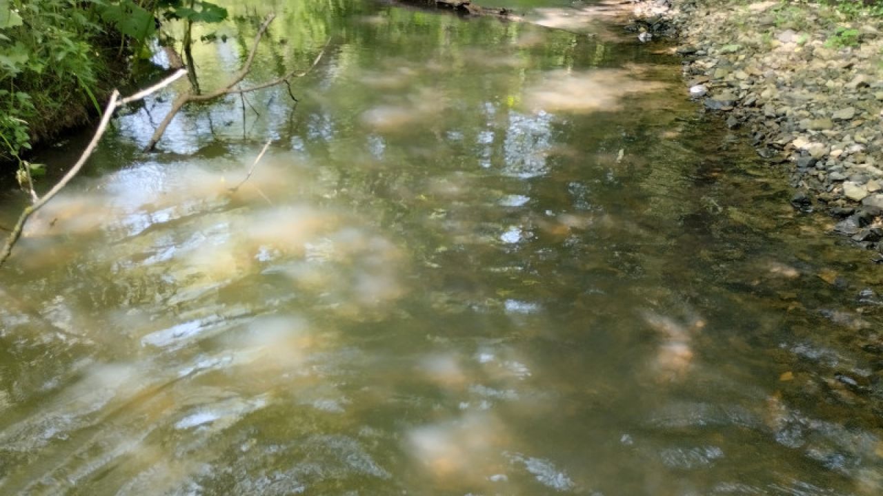 Фото до новини