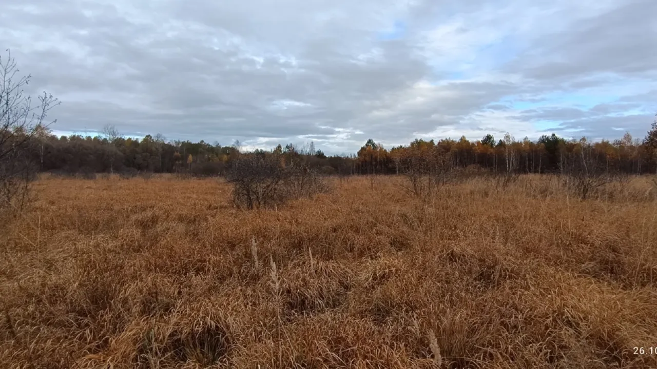 Фото до новини