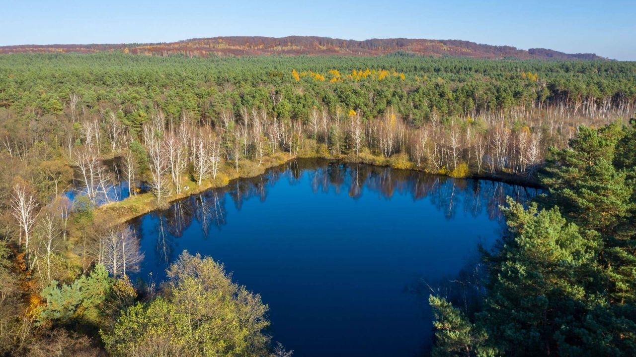 Фото до новини